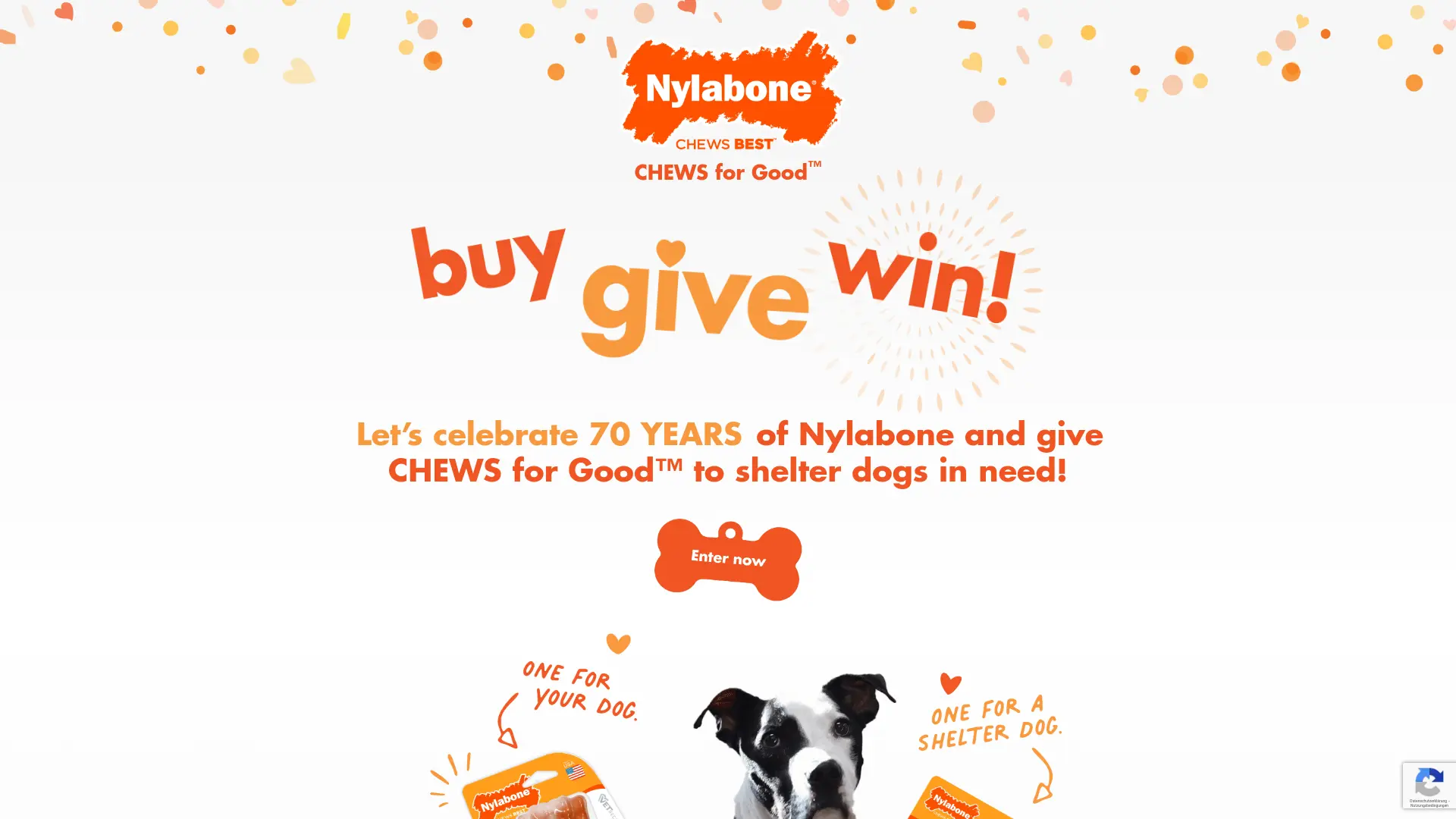 Sweepstake Nylabone Chews for Good Sweepstakes by Central Garden & Pet Company